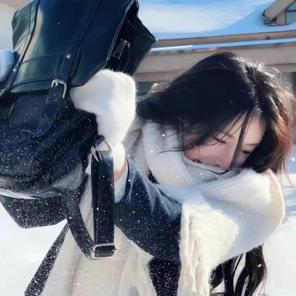 双重风险