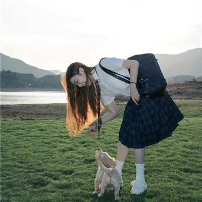 狗仔杜宾